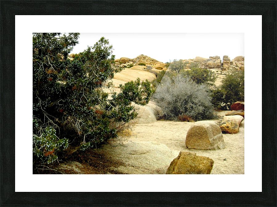 LS005 Picture Frame print