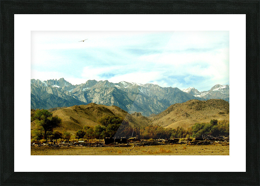 LS026 Picture Frame print
