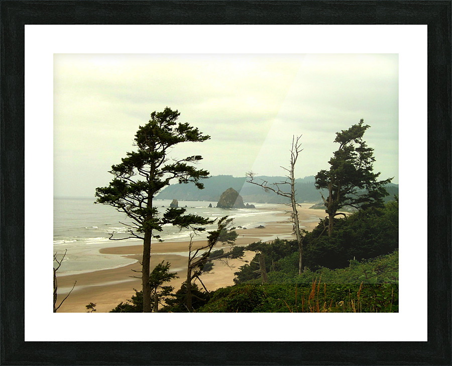 LS046 Picture Frame print