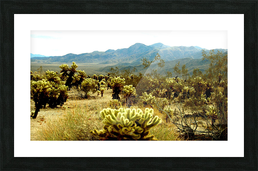 LS018 Picture Frame print