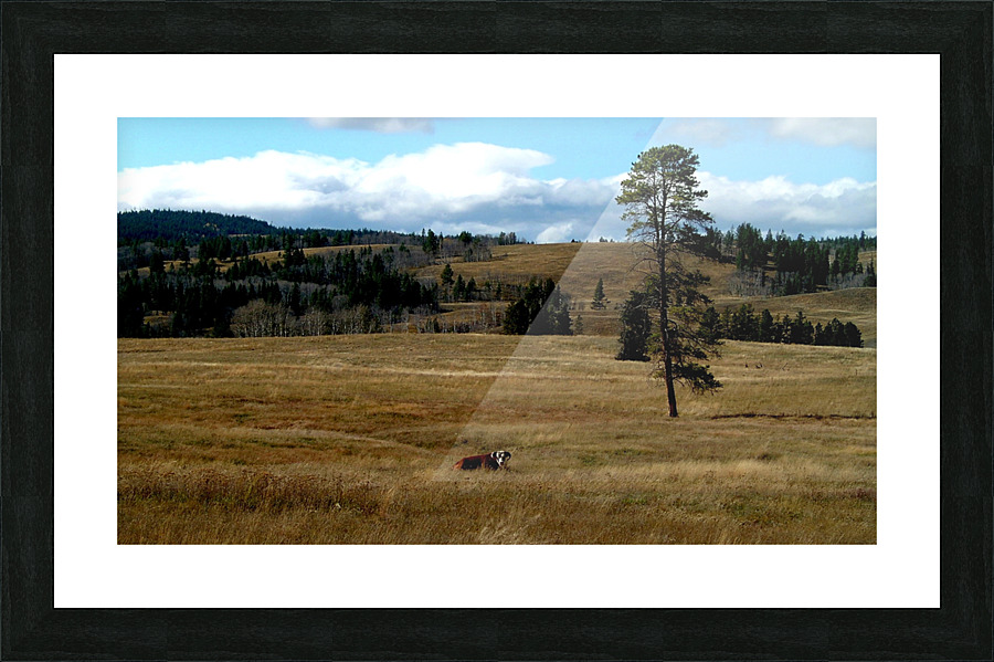 LS029 Picture Frame print