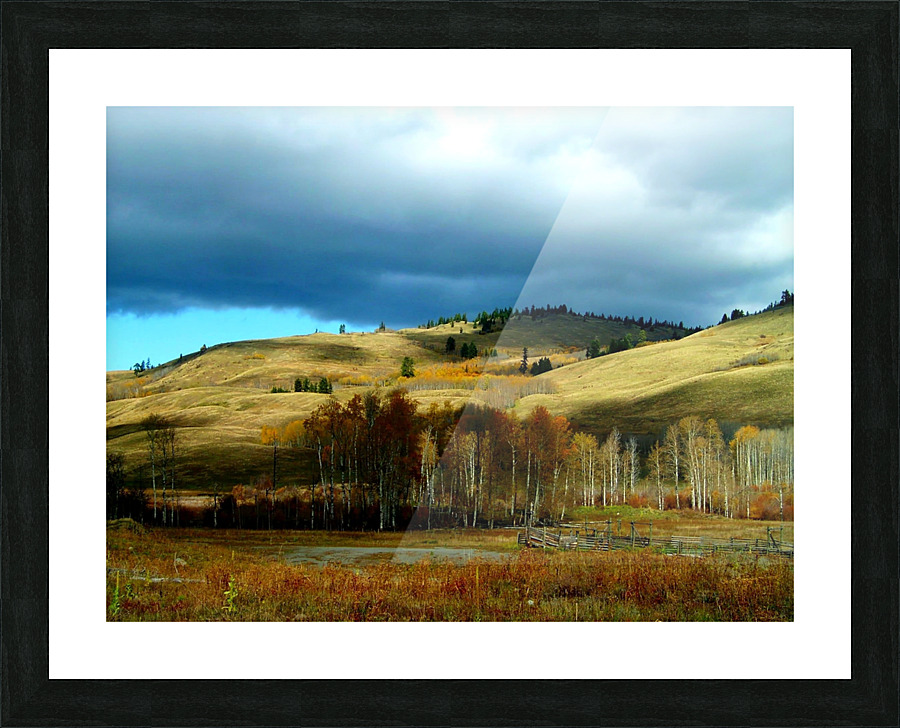 LS030 Picture Frame print