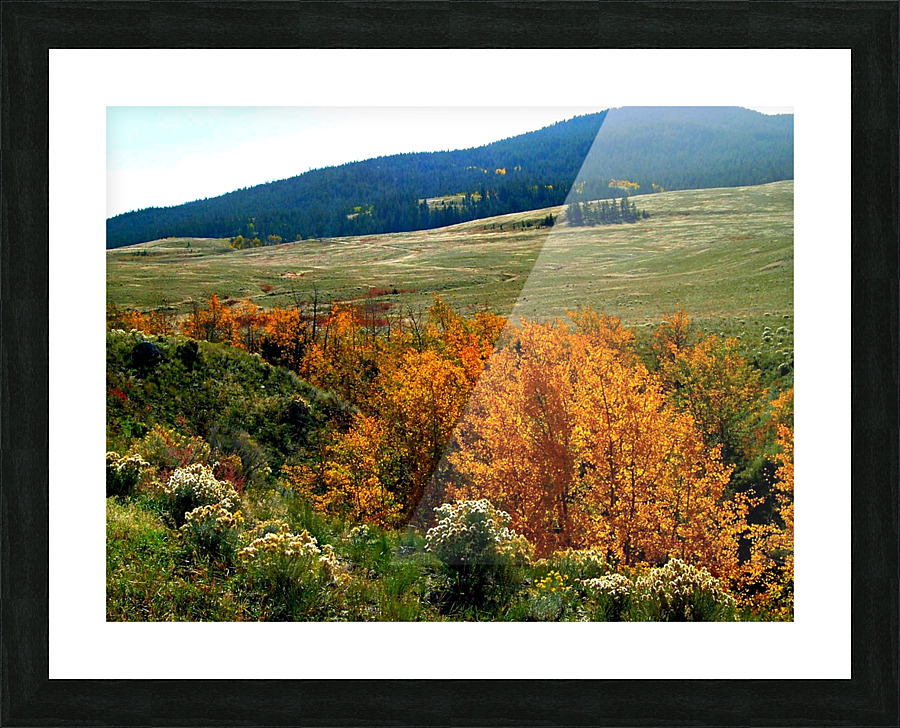 LS028 Picture Frame print