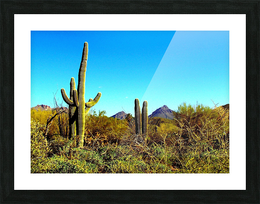 LS004 Picture Frame print