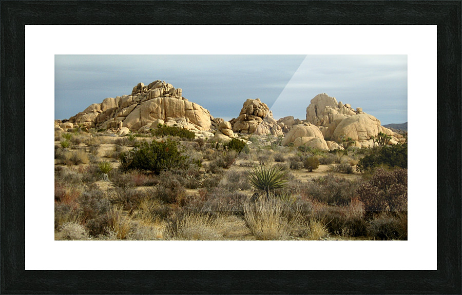 LS048 Picture Frame print