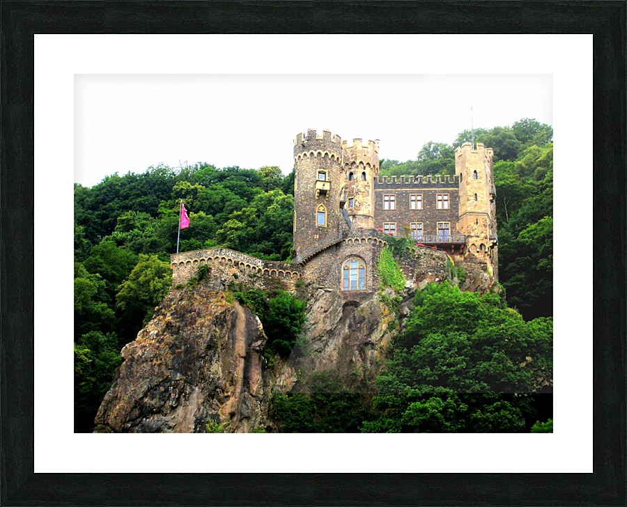 LS055 Picture Frame print