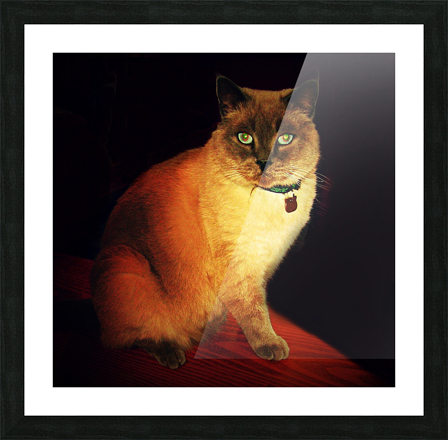 LS058 Picture Frame print