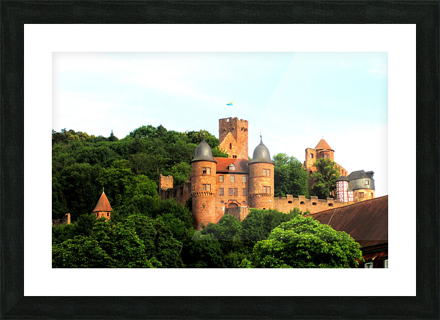 LS061 Picture Frame print