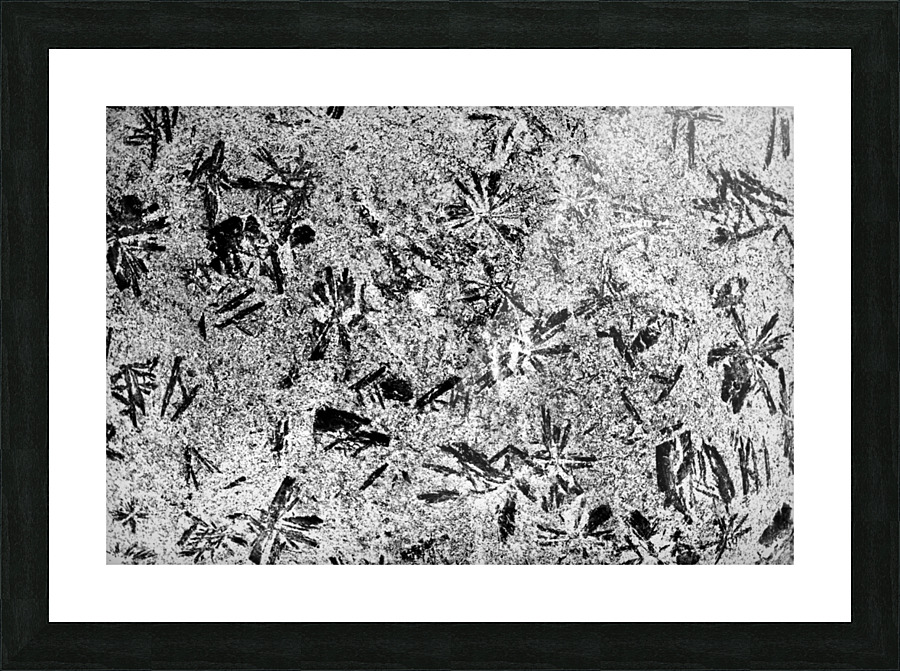 RA005 Picture Frame print