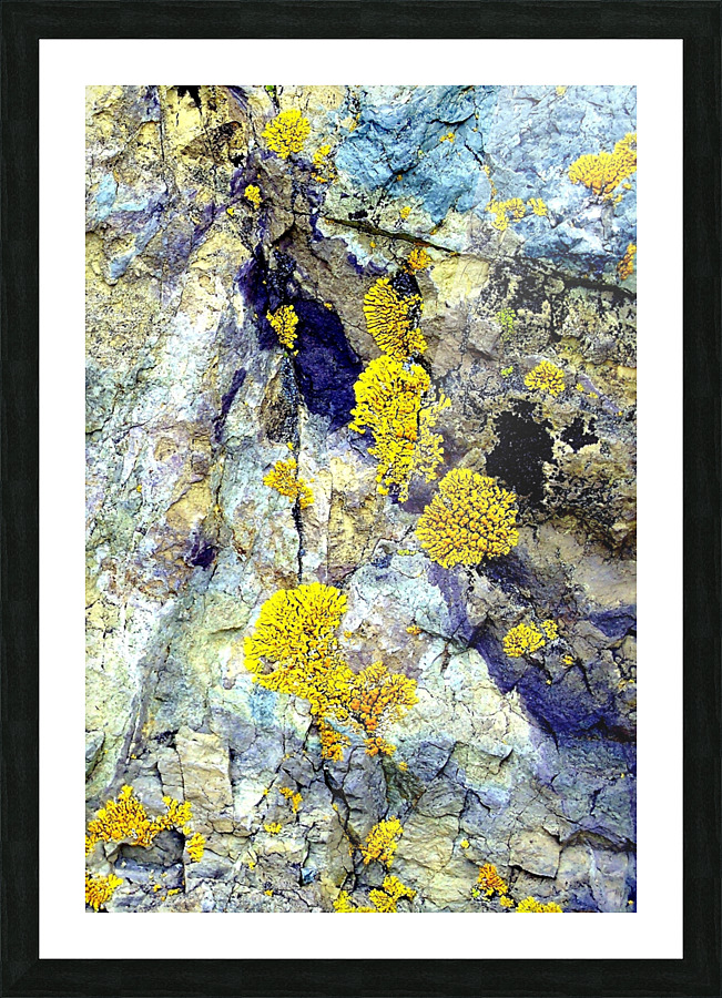 RA030 Picture Frame print