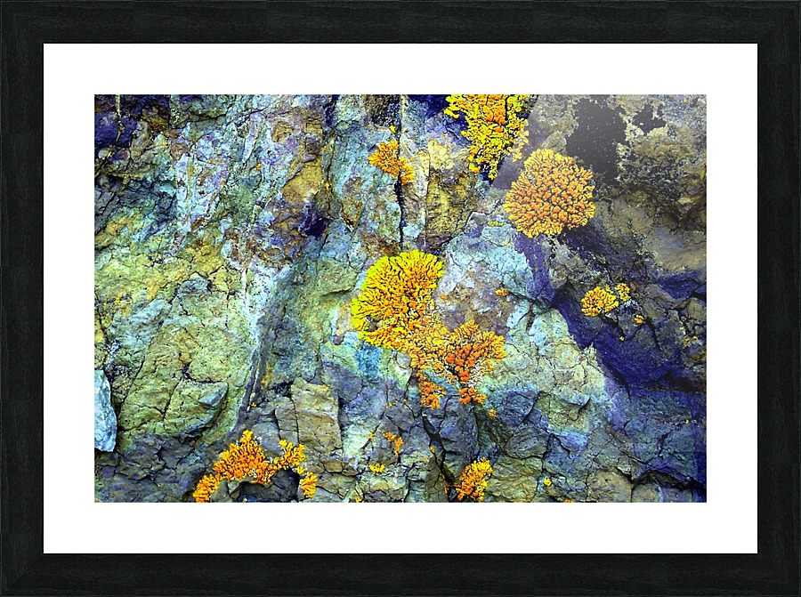 RA031 Picture Frame print