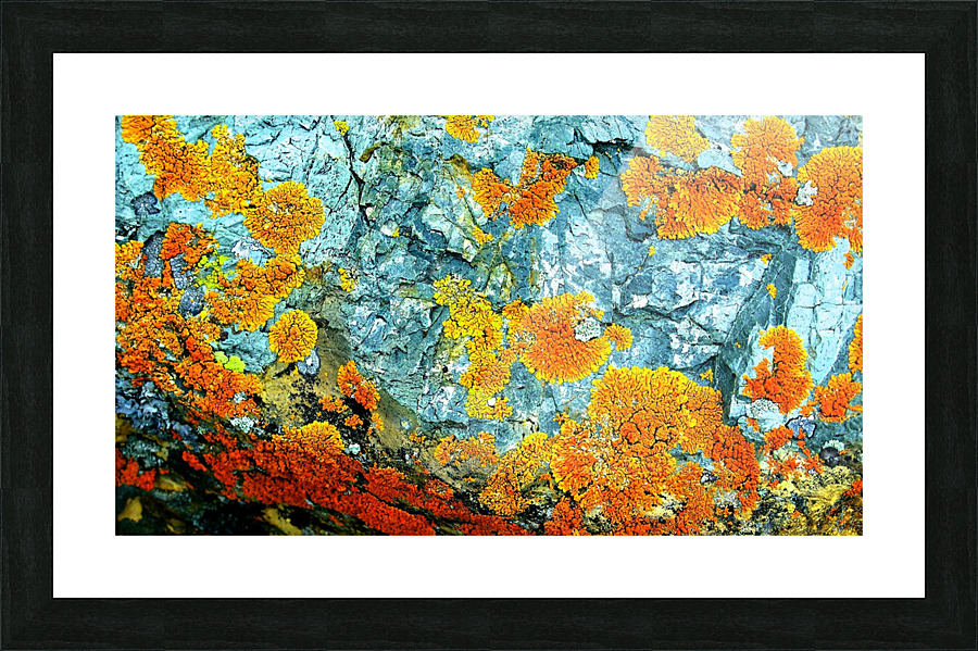 RA002 Picture Frame print