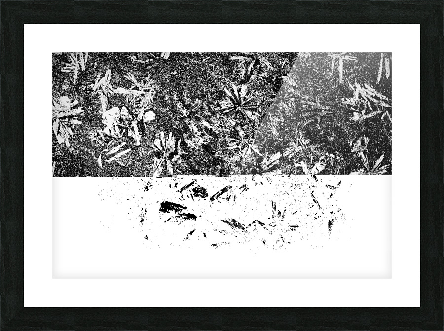 RA004 Picture Frame print
