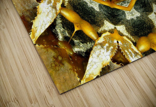 AB046 DeBeesonphotoart puzzle