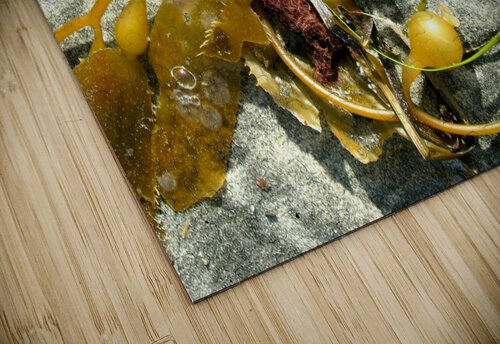 AB026 DeBeesonphotoart puzzle