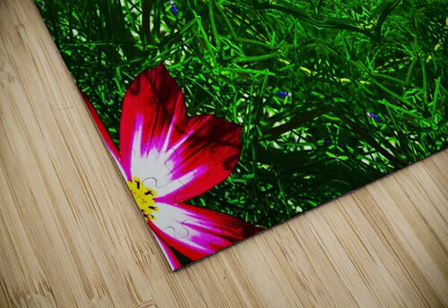 AB016 DeBeesonphotoart puzzle