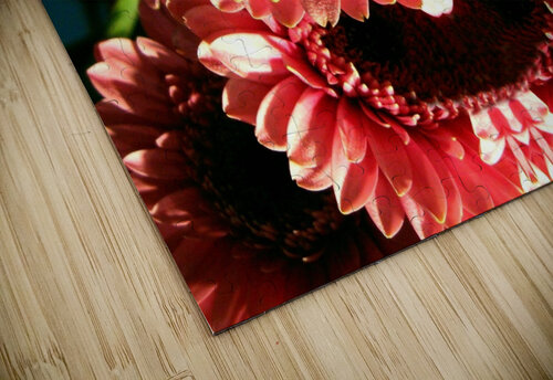 AB023 DeBeesonphotoart puzzle