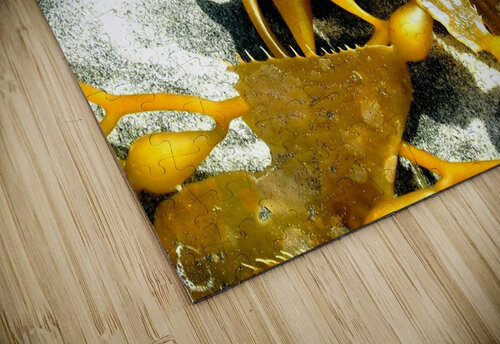 AB028 DeBeesonphotoart puzzle