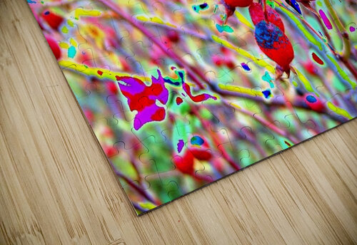 AB049 DeBeesonphotoart puzzle