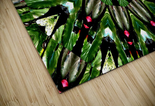 AB015 DeBeesonphotoart puzzle