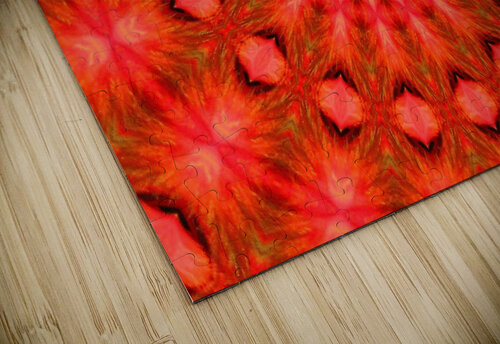 AB021 DeBeesonphotoart puzzle