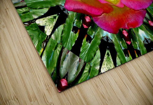AB041 DeBeesonphotoart puzzle