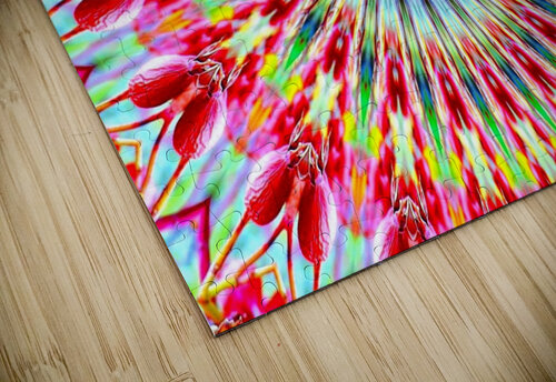 AB039 DeBeesonphotoart puzzle