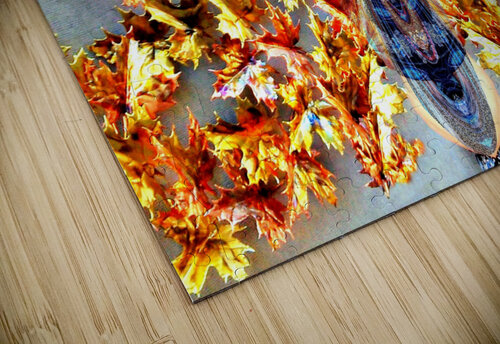 AB068 DeBeesonphotoart puzzle