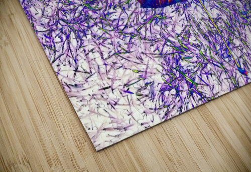 AB063 DeBeesonphotoart puzzle