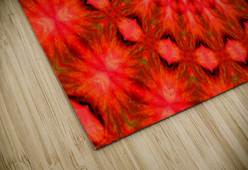 AB073 DeBeesonphotoart puzzle