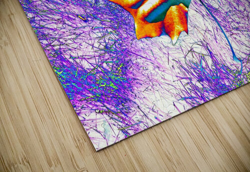 AB061 DeBeesonphotoart puzzle