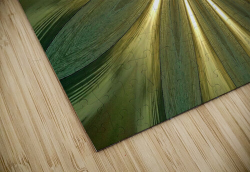 AB069 DeBeesonphotoart puzzle