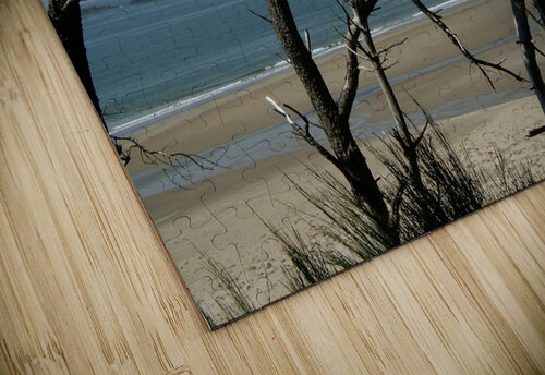 LS047 DeBeesonphotoart puzzle