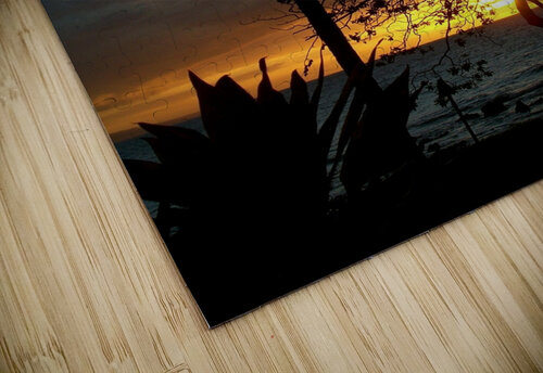 LS010 DeBeesonphotoart puzzle