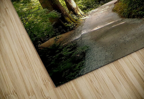LS049 DeBeesonphotoart puzzle