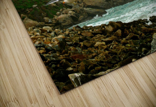 LS035 DeBeesonphotoart puzzle