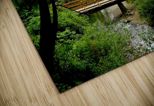 LS045 DeBeesonphotoart puzzle