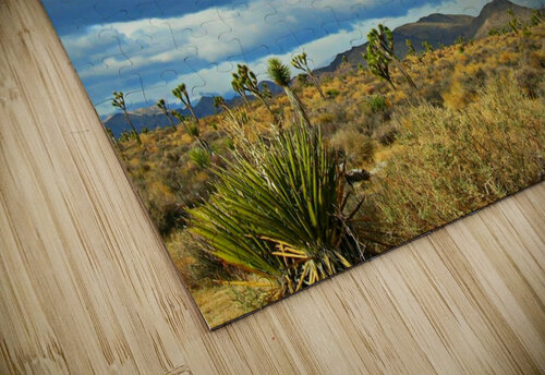 LS002 DeBeesonphotoart puzzle