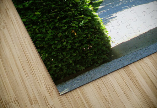 LS042 DeBeesonphotoart puzzle