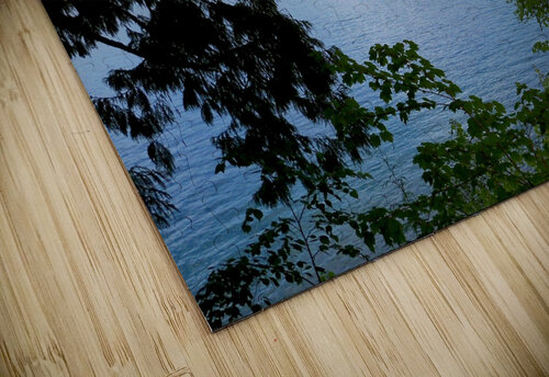LS007 DeBeesonphotoart puzzle