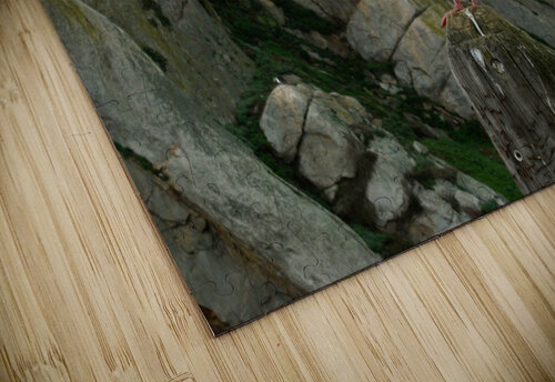 LS036 DeBeesonphotoart puzzle