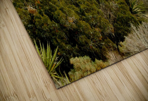 LS006 DeBeesonphotoart puzzle