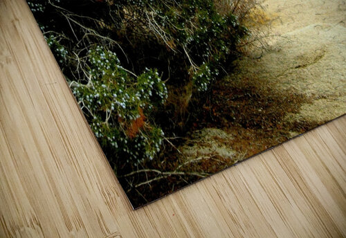 LS005 DeBeesonphotoart puzzle