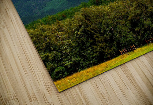 LS015 DeBeesonphotoart puzzle
