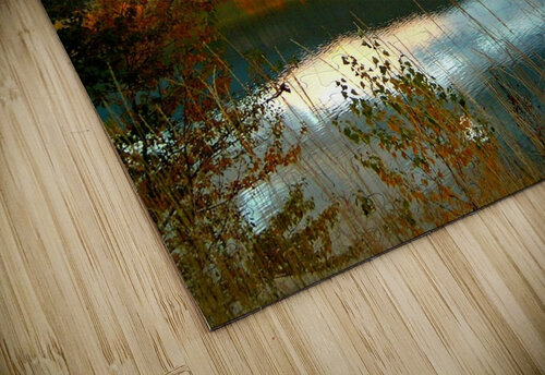 LS031 DeBeesonphotoart puzzle