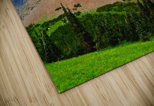 LS020 DeBeesonphotoart puzzle