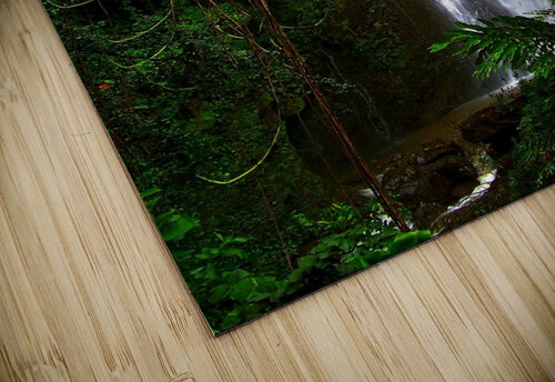 LS014 DeBeesonphotoart puzzle