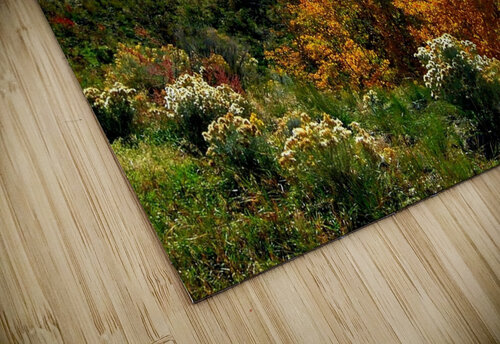 LS028 DeBeesonphotoart puzzle
