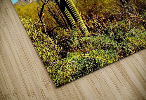 LS004 DeBeesonphotoart puzzle