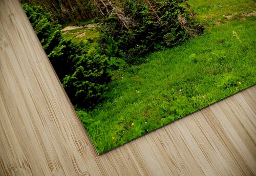 LS021 DeBeesonphotoart puzzle